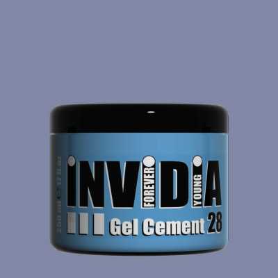 INVIDIA GEL CEMENT N.28 500ML