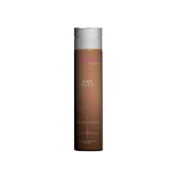 ENVIE SMK PLEX CHAMPÚ REPARADOR 250ML
