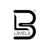 Level 3