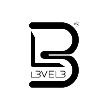 Level 3